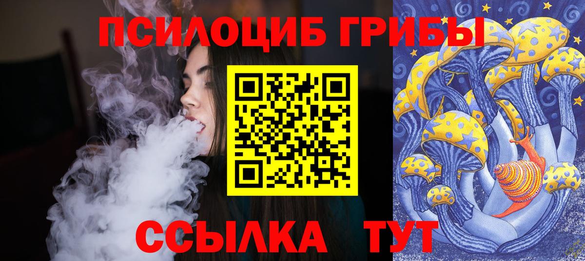 Псилоцибиновые грибы Psilocybine cubensis  Вход с VPN  что такое наркотик  Норильск 